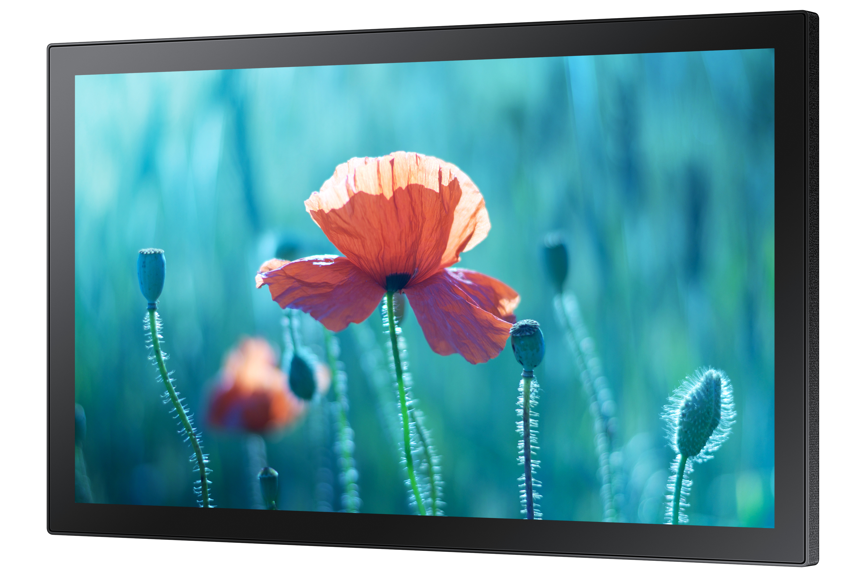 Samsung Smart Signage QB13R-TM**