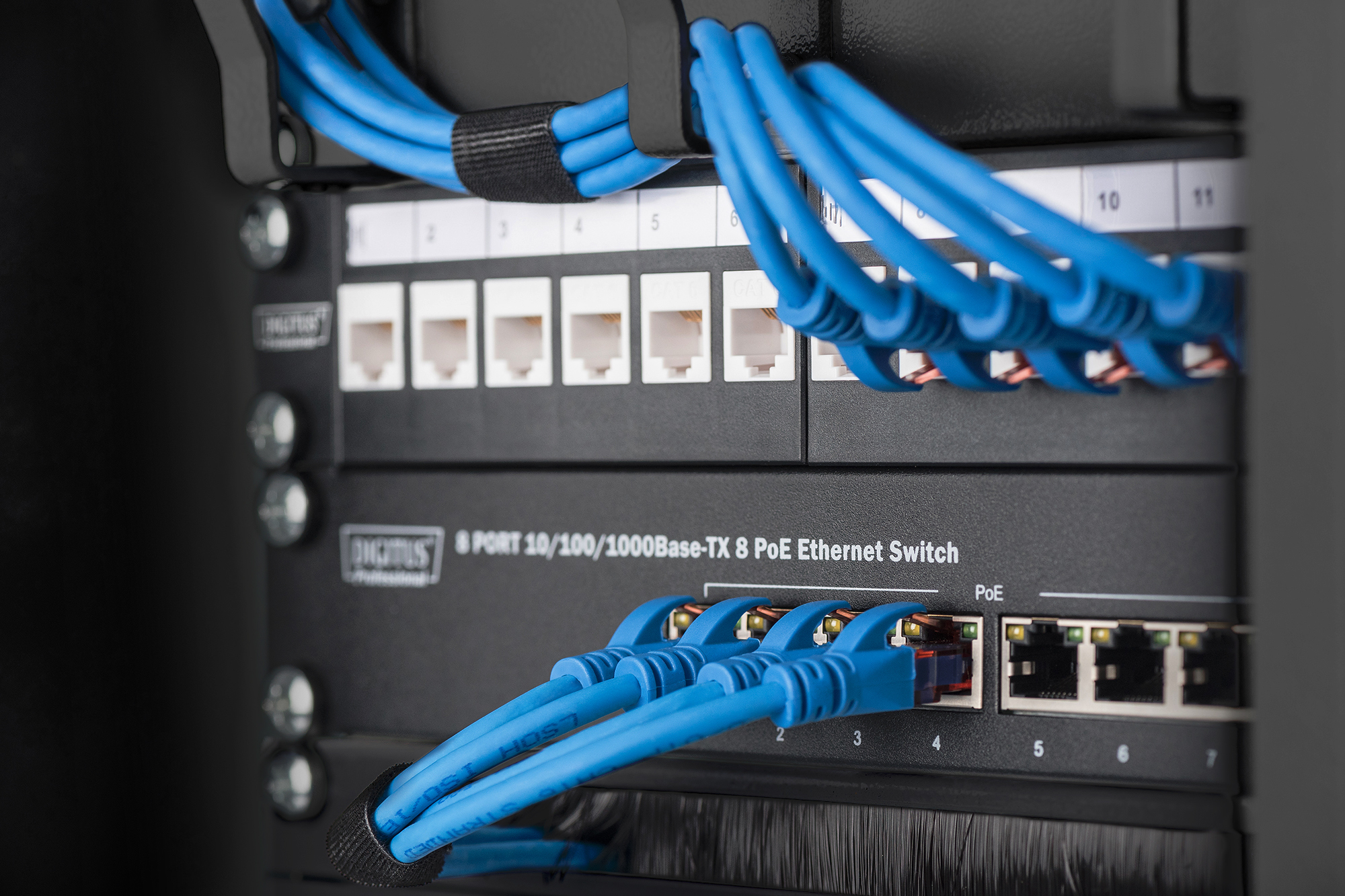 Ethernet-Switch, PoE-Switch, RJ45-Anschlüsse, Netzwerk-Schrank, blaue Kabel