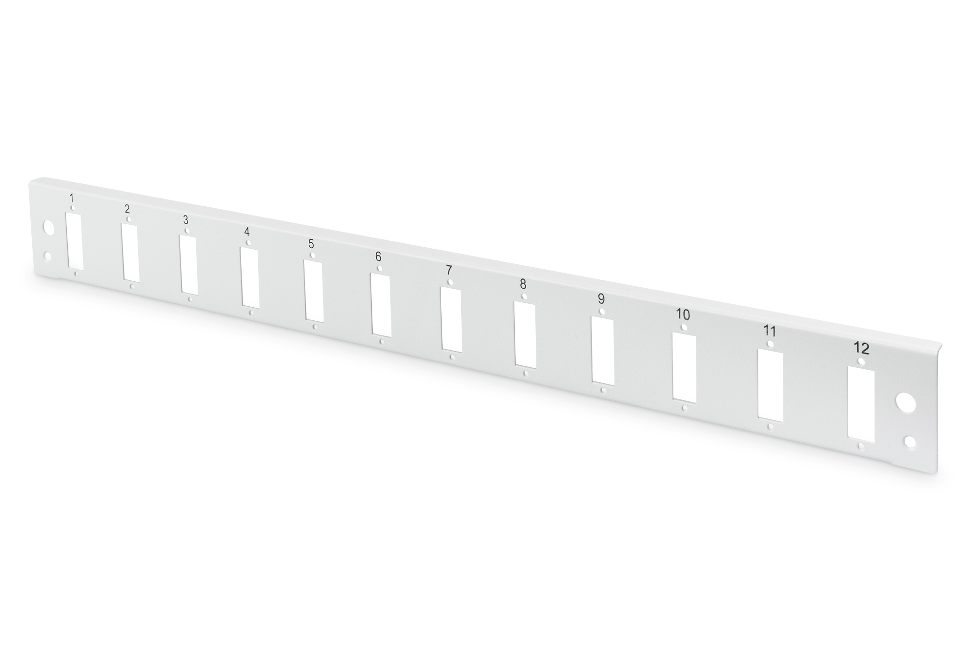 Panel, Faceplate, 12-Port, Rechteckig, Metallisch