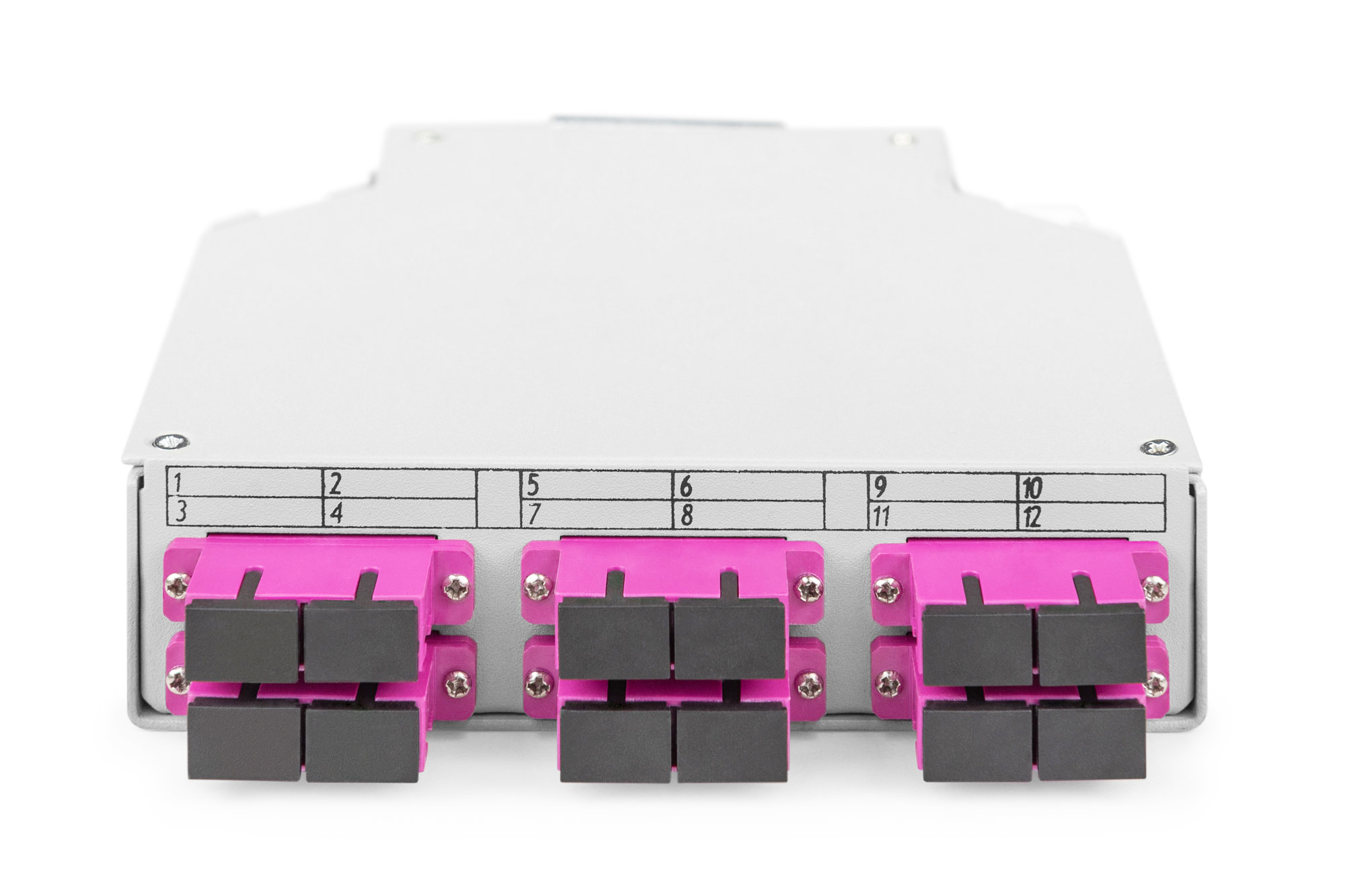 fiberoptic, Modul, Silber, pinksteckverbinder, schwarze ferrulen