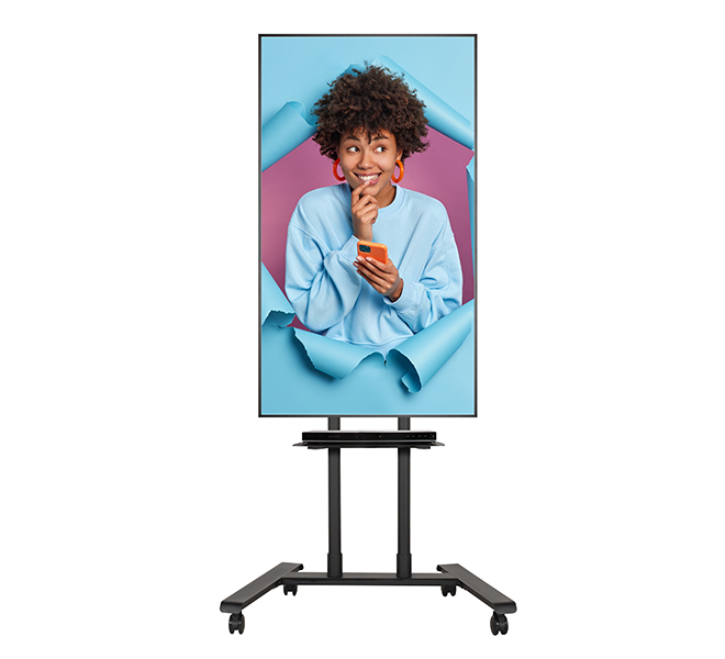 B-TECH Large Flat Screen Trolley / Floor Stand (VESA 600 x 400) - 1.6m Ø50mm Poles BT8504/BB V2
