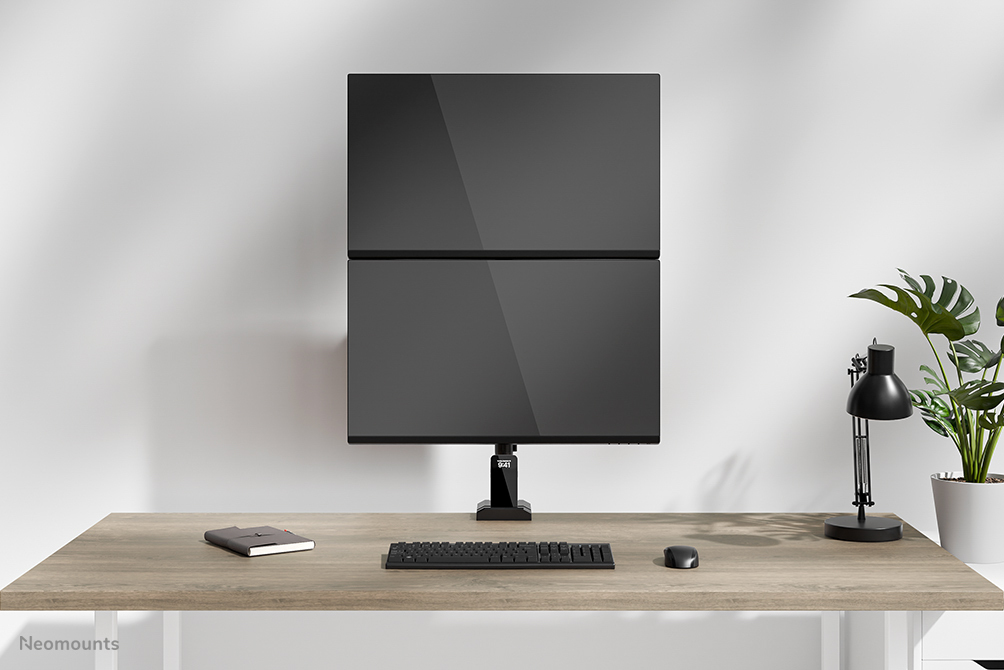 Monitore, Doppelmonitor, Schreibtisch-Setup, Desktop-Computer, Tastatur, Maus, Pflanze