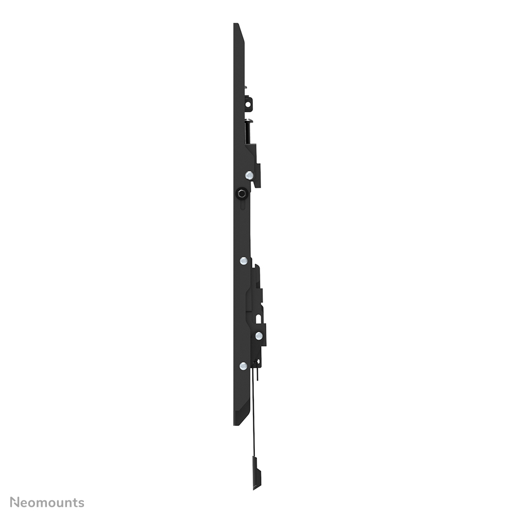 Neomounts Select TV-Wandhalterung - 81,3 cm (32 Zoll) - 165,1 cm (65 Zoll) - 100 x 100 mm - 400 x 400 mm - 0 - 12 Grad  - Schwarz