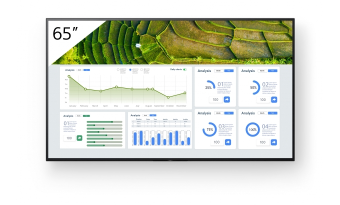 65 Zoll, Monitor, Display, Analytics-Dashboard, Bildschirm