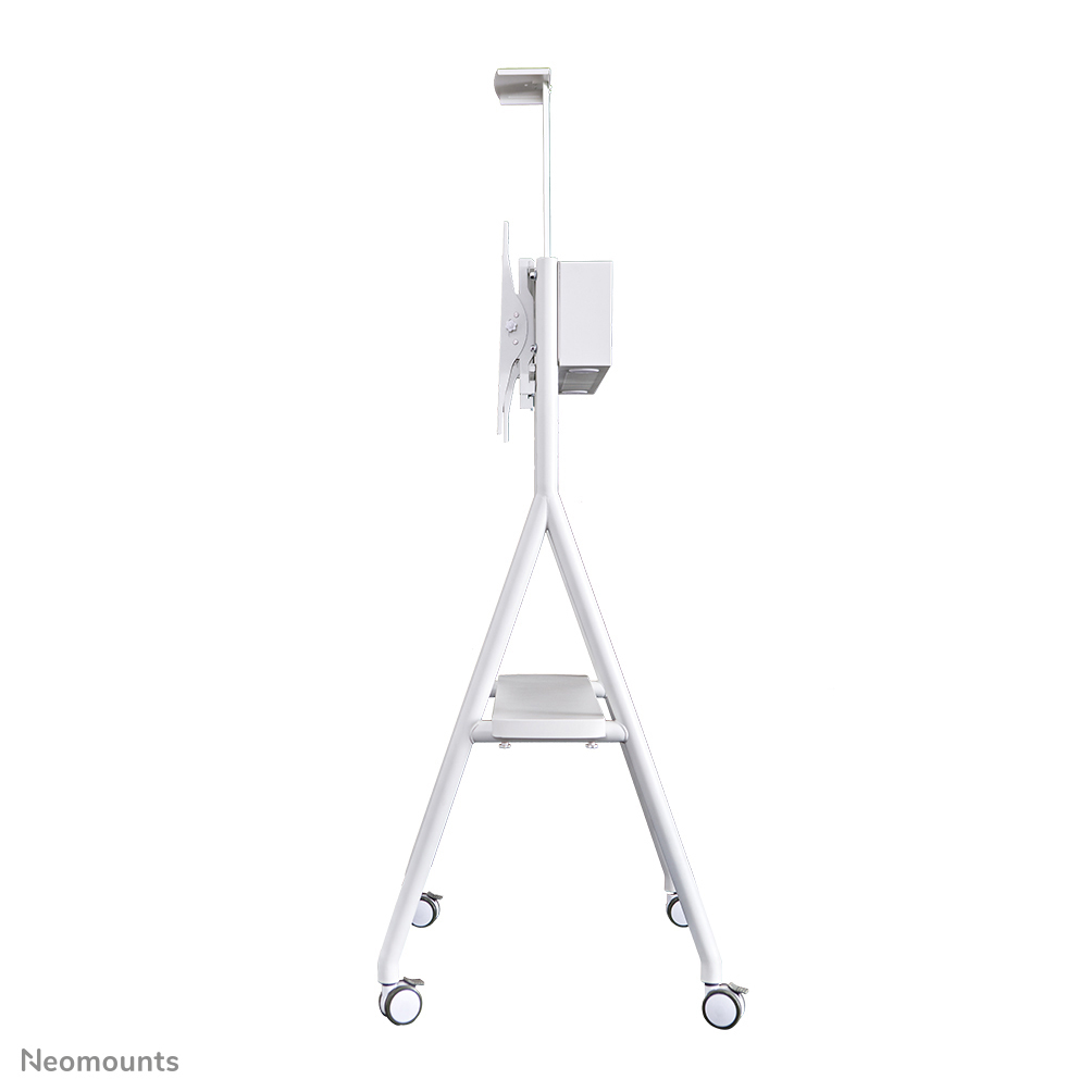 Neomounts Mobiler Flachbild Ständer - 50 kg - 81,3 cm (32") - 165,1 cm (65") - 600 x 400 mm - Höhenverstellung - Weiß