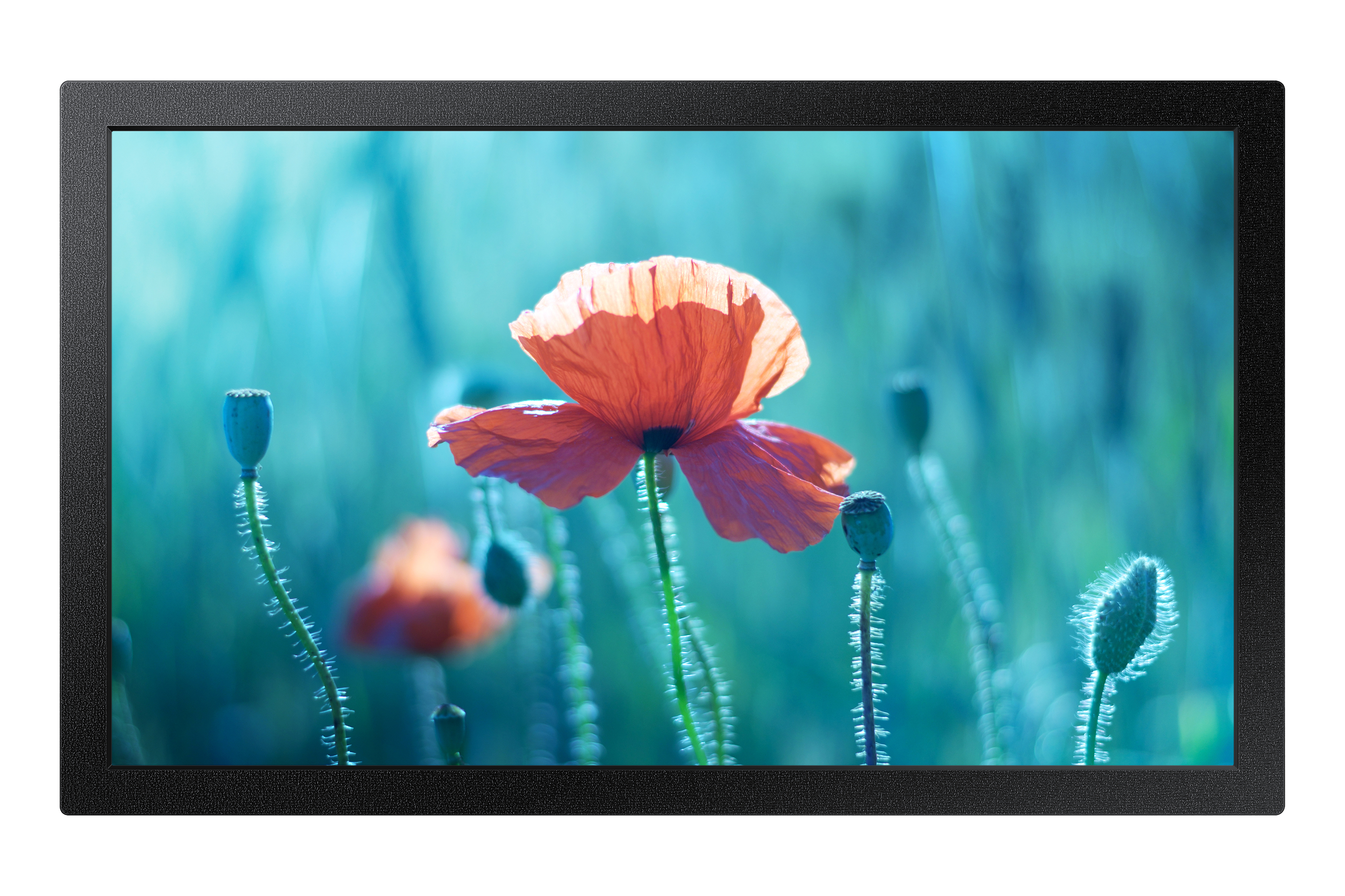 Samsung Smart Signage QB13R-M