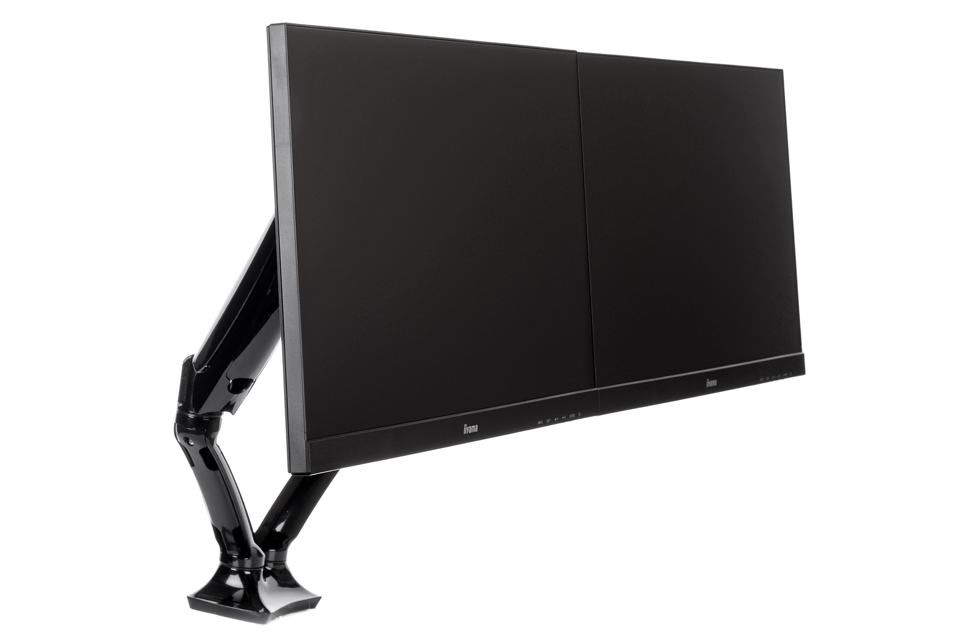 Monitor, Dual-Panel, Schwarz, Desktop, Verstellbare Halterung
