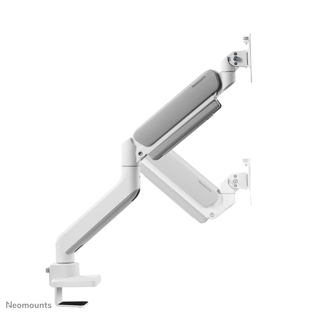Neomounts Monitor-Tischhalterung - Klemme /Bolzen - 15 kg - 43,2 cm (17 Zoll) - 106,7 cm (42 Zoll) - 100 x 100 mm - Weiß
