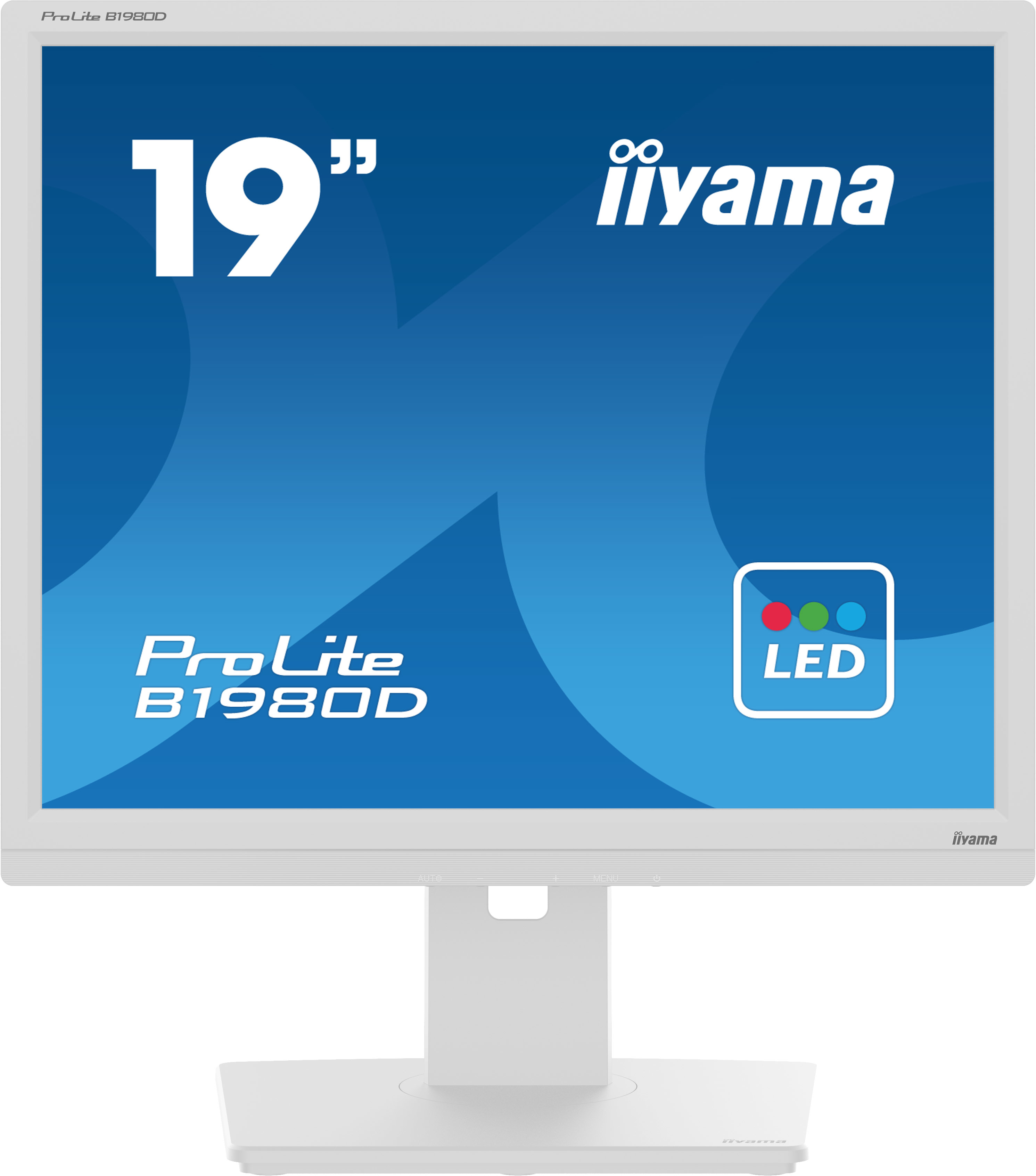 IIYAMA Monitor B1980D-W5