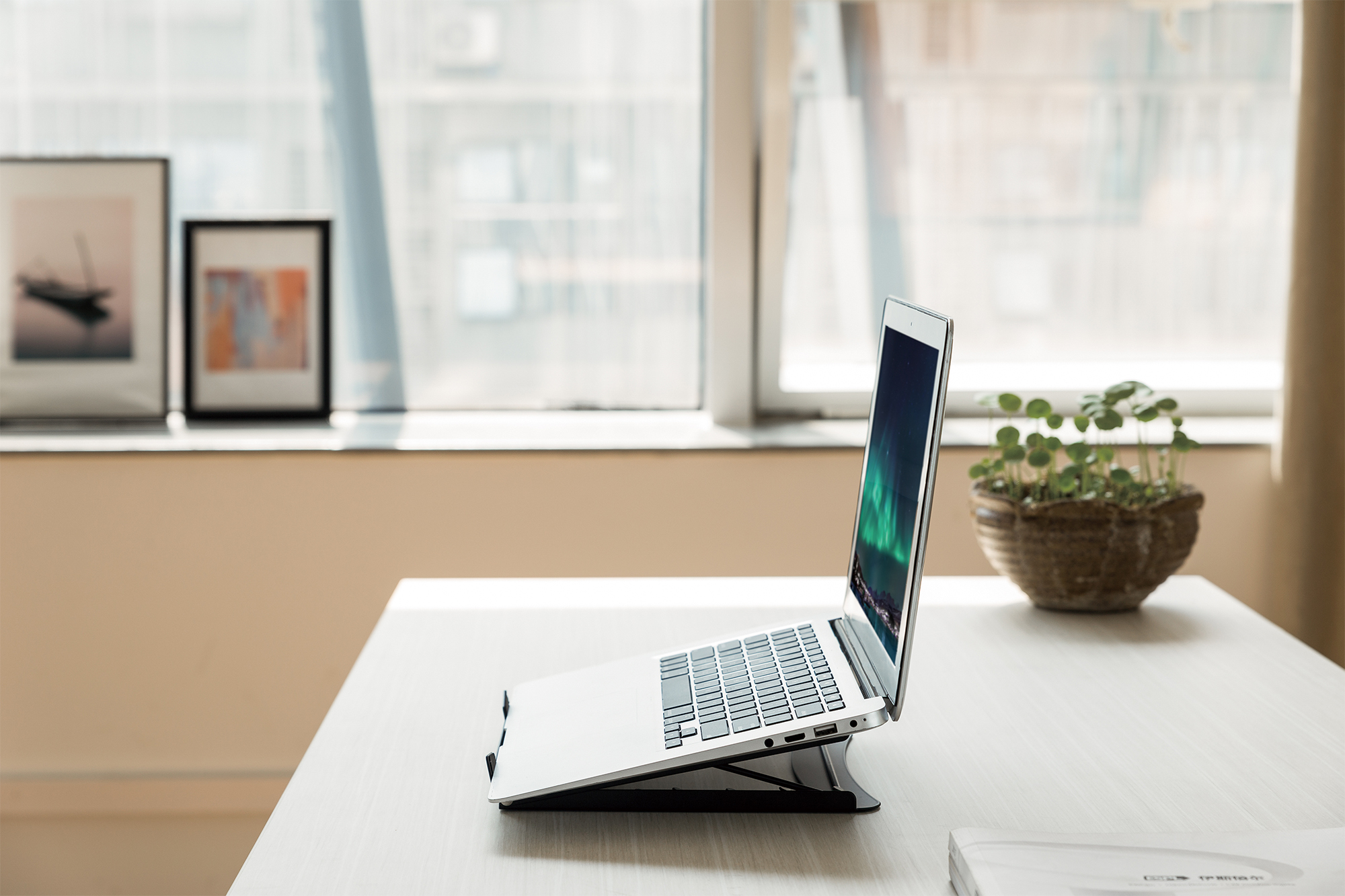 laptop, Laptop-Halterung, Schreibtisch-Setup, Büro, Topfpflanze