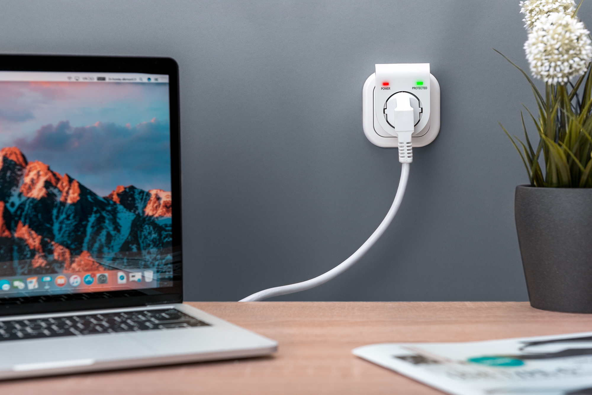 Laptop, Power outlet, Tabletop, USB-C, Plant