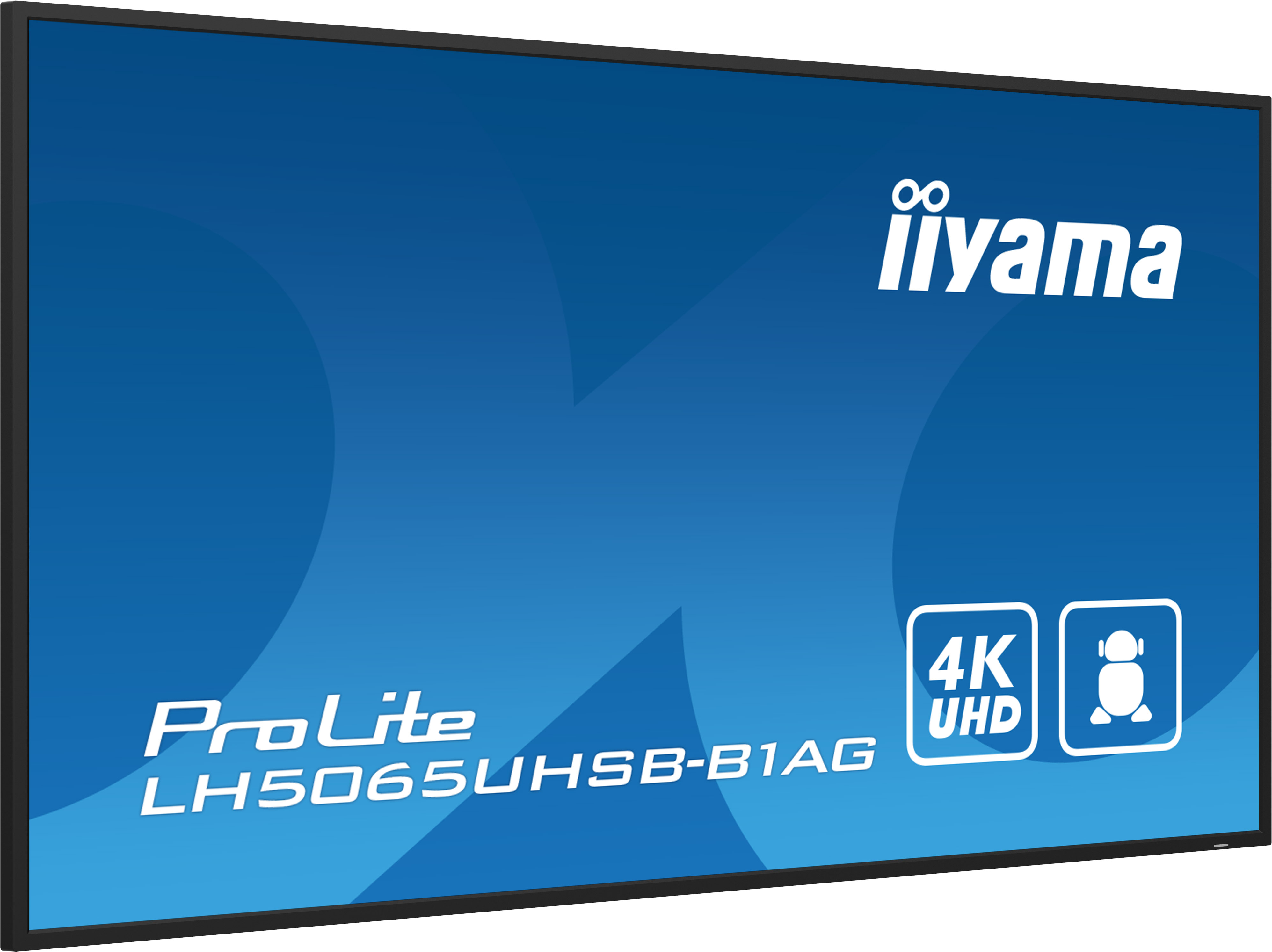 IIYAMA LFD ProLite LH5065UHSB-B1AG