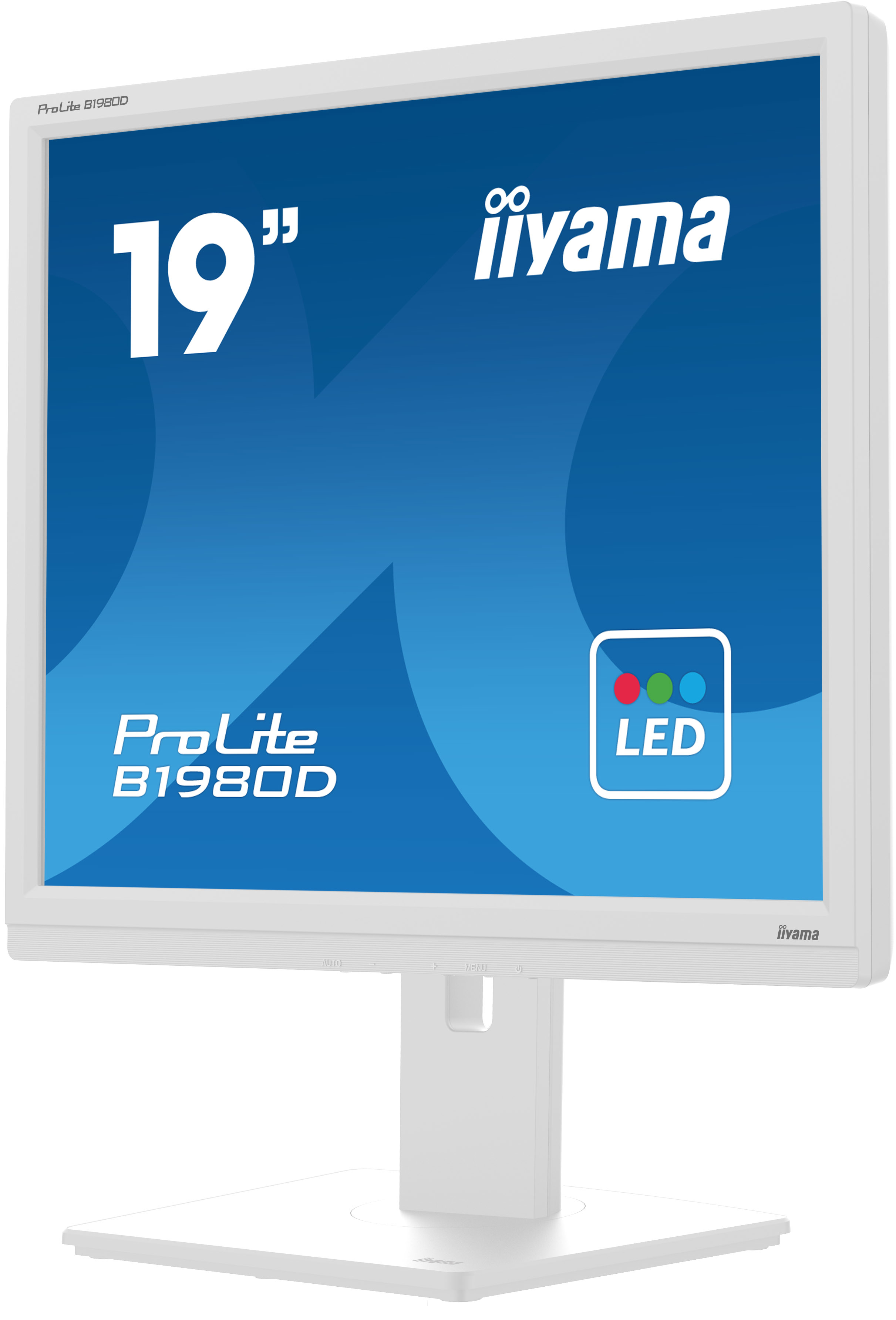 IIYAMA Monitor B1980D-W5