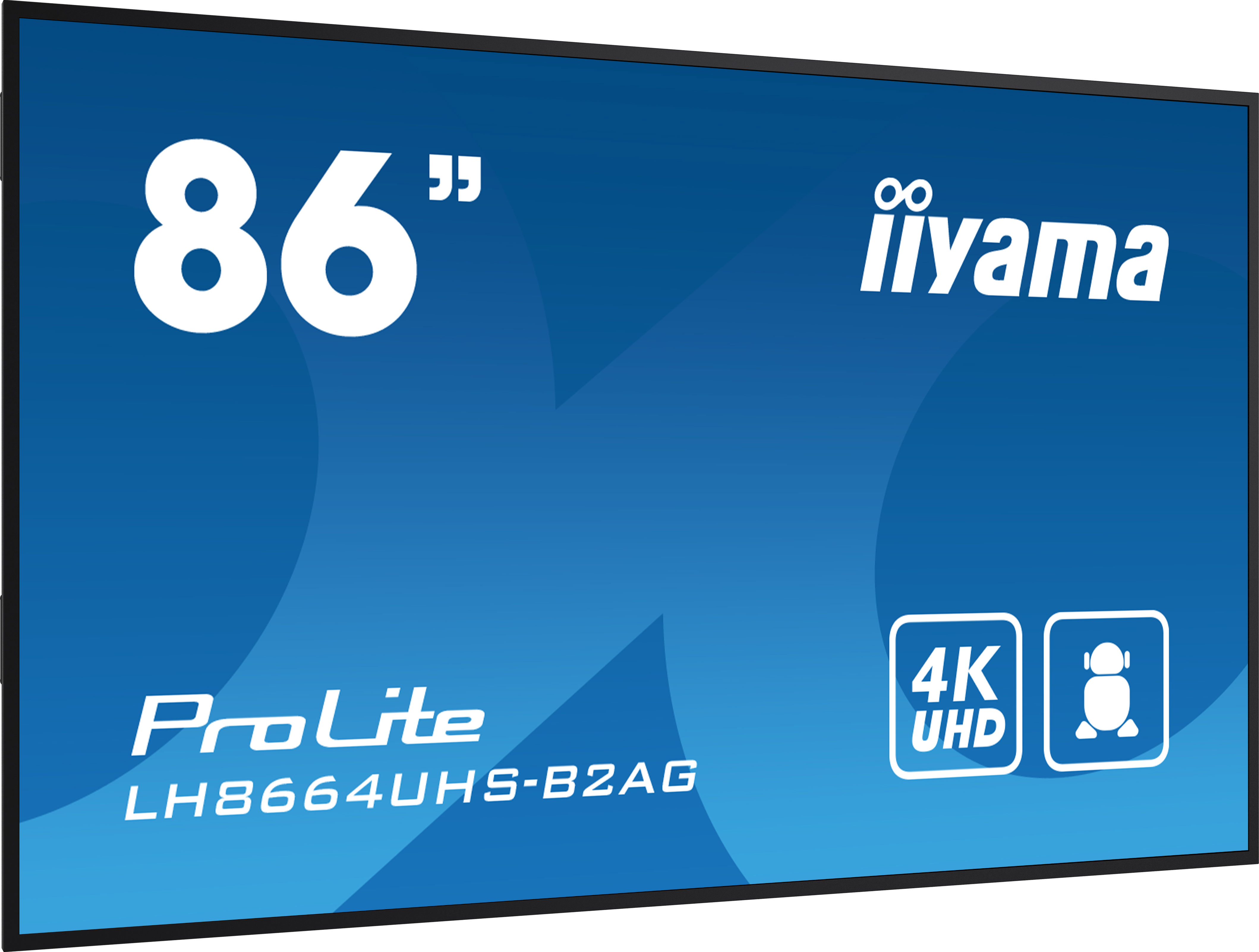 Bildschirm, Computer-Hardware, Computerausrüstung, Überwachen, Text