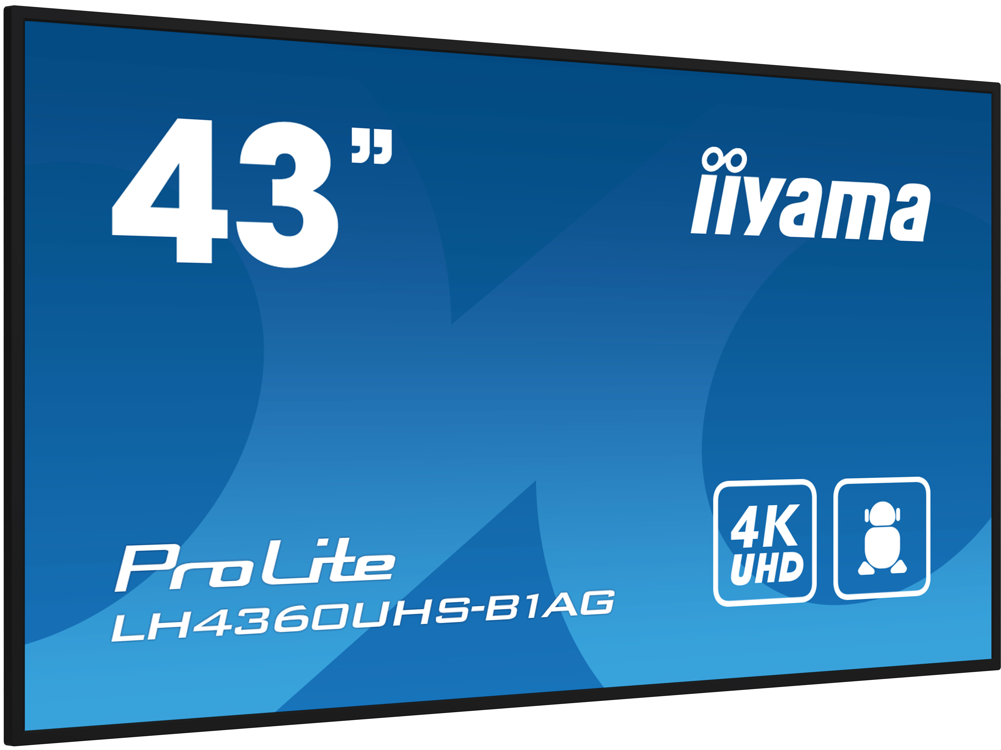 IIYAMA LFD ProLite LH4360UHS-B1AG
