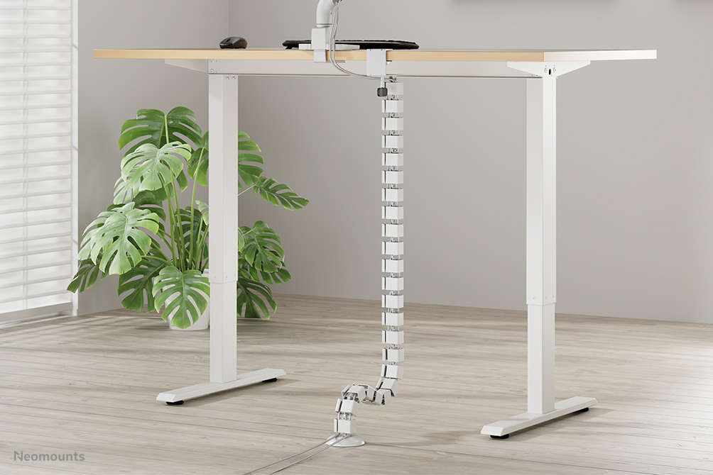Schreibtisch, Mobiliar, Tabelle, Pflanze
