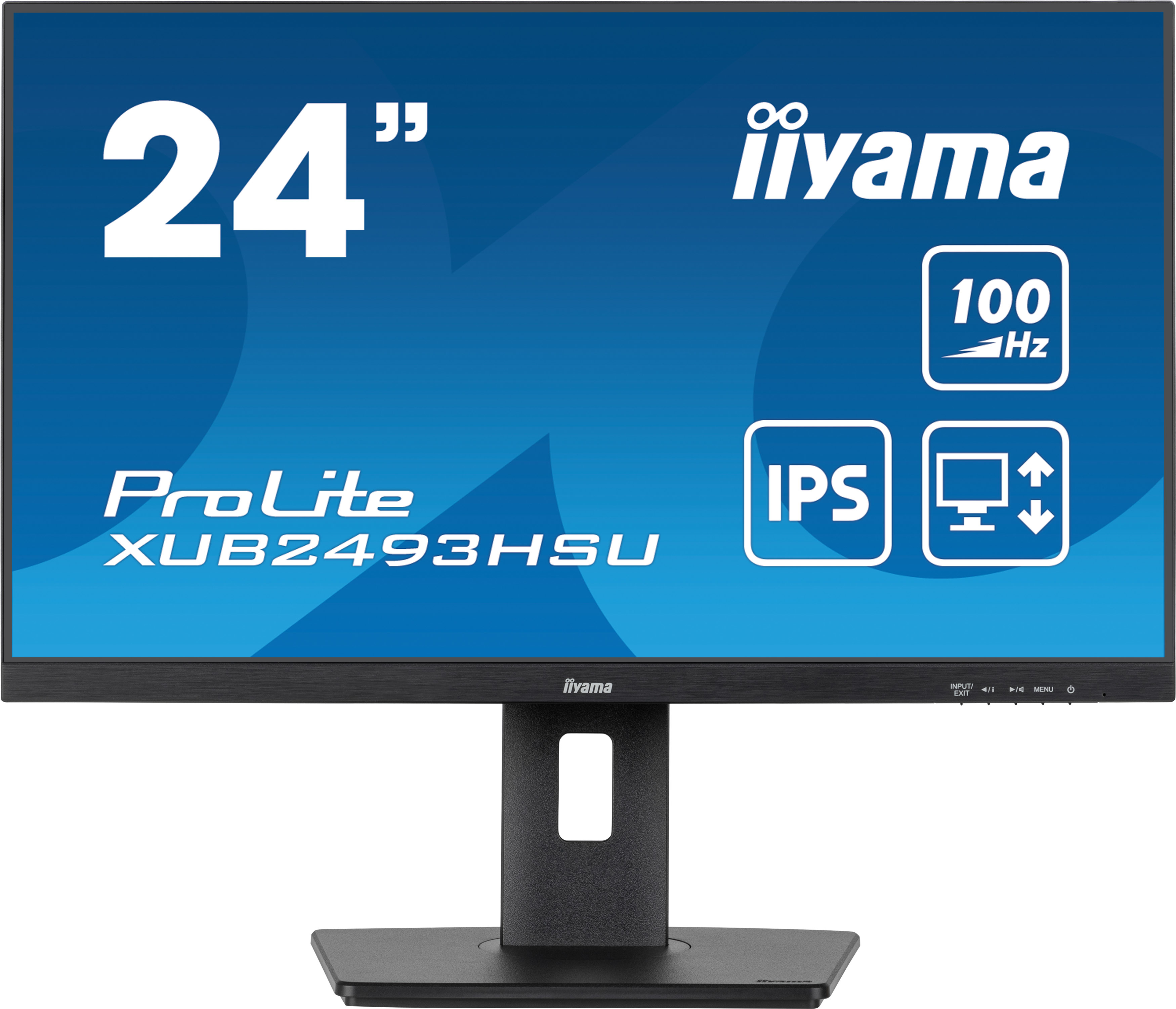Monitor, 24 Zoll, IPS, Ständer, 100 Hz