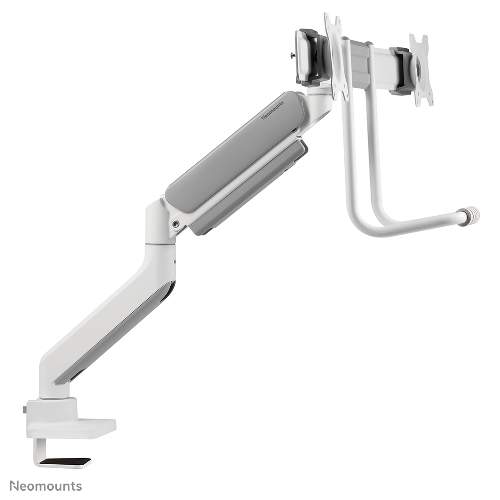 Neomounts Monitor-Tischhalterung - Klemme /Bolzen - 8 kg - 43,2 cm (17 Zoll) - 81,3 cm (32 Zoll) - 100 x 100 mm - Weiß