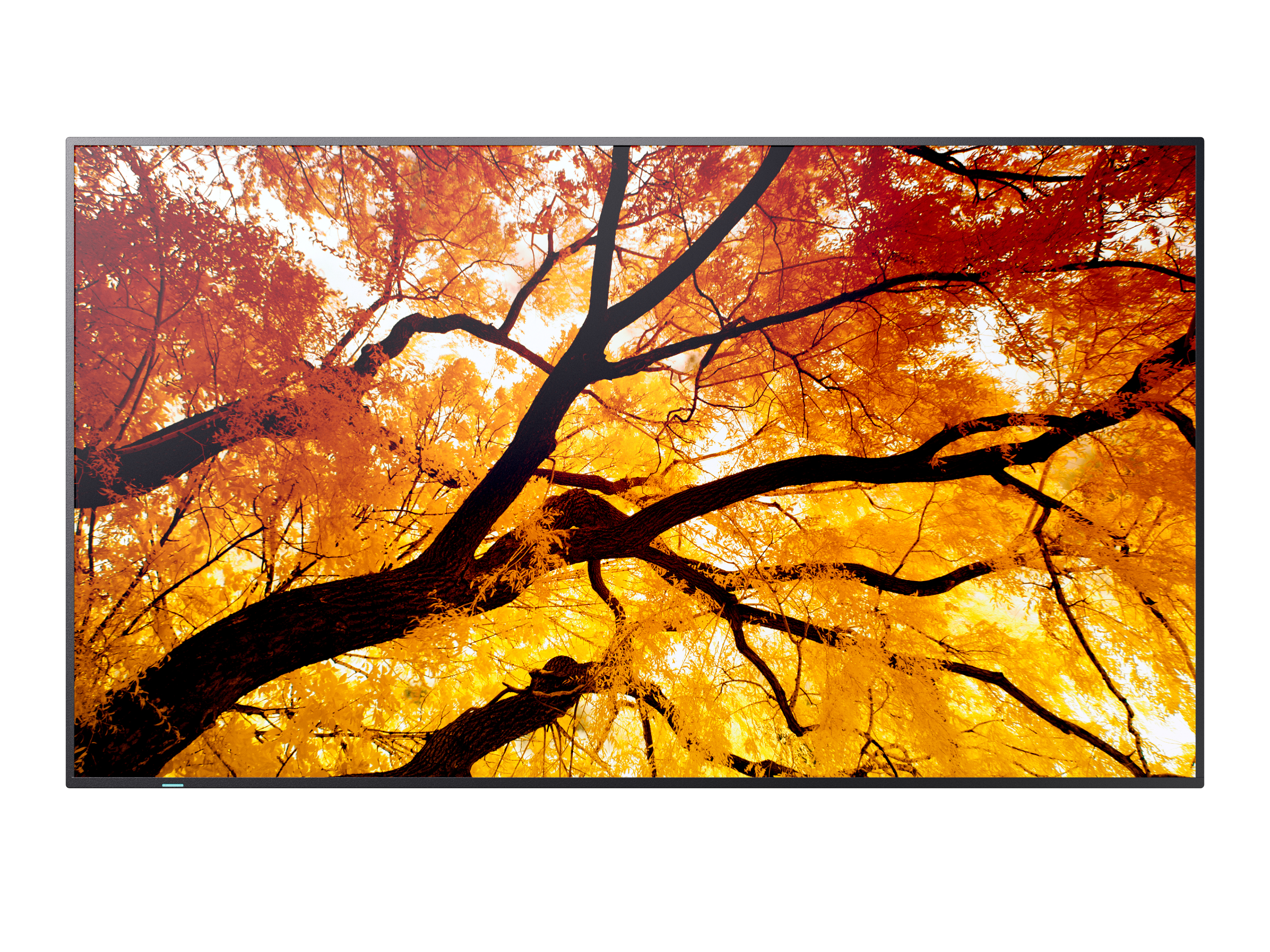 Sharp Large Format Display M432