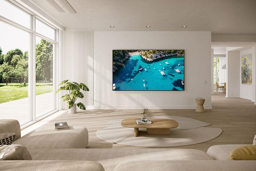 SAMSUNG TV GU98DU9079   (2024)*