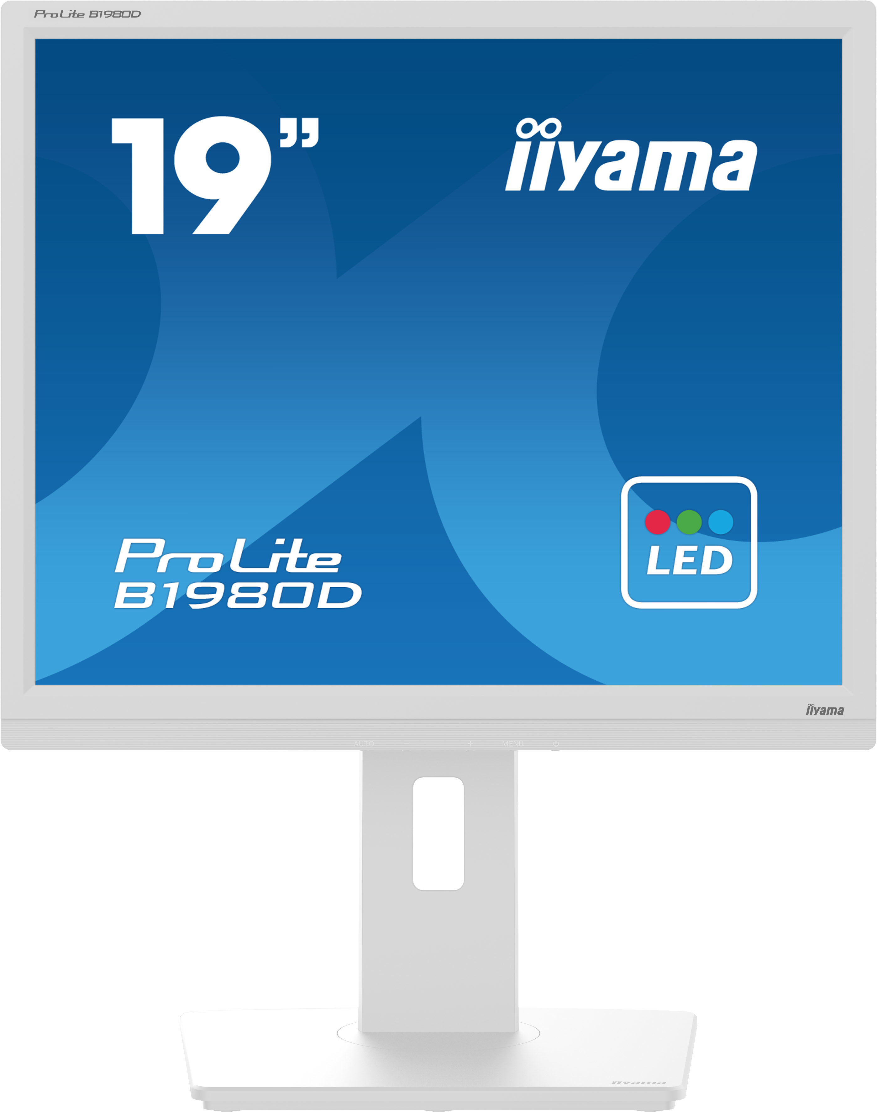 IIYAMA Monitor B1980D-W5