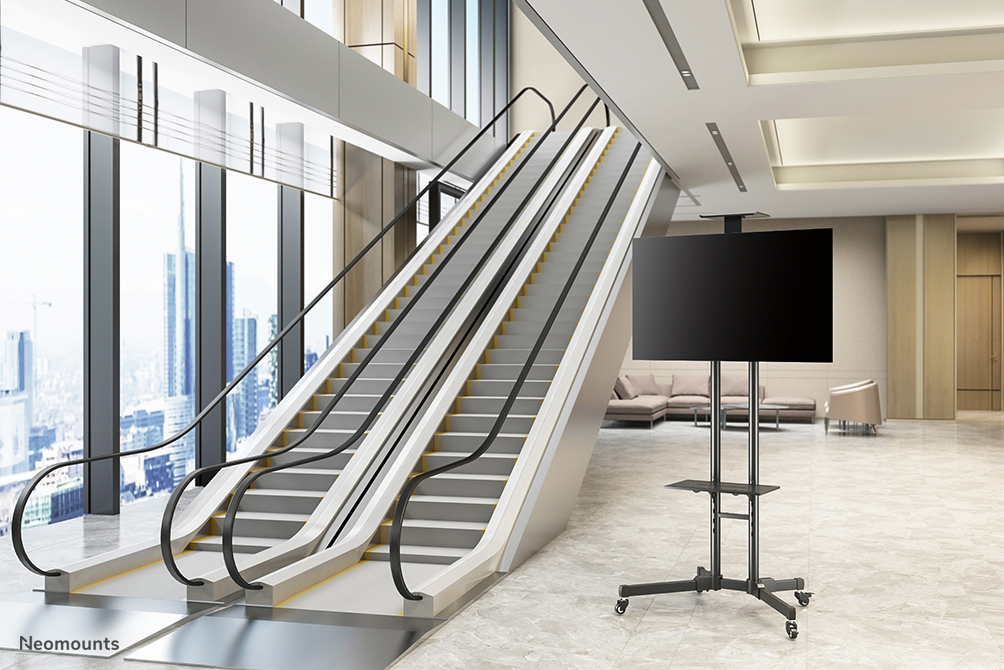 Neomounts Mobiler Flachbild Ständer - 50 kg - 177,8 cm (70") - 81,3 cm (32") - 200 x 200 mm - 600 x 400 mm - 1550 - 1700 mm