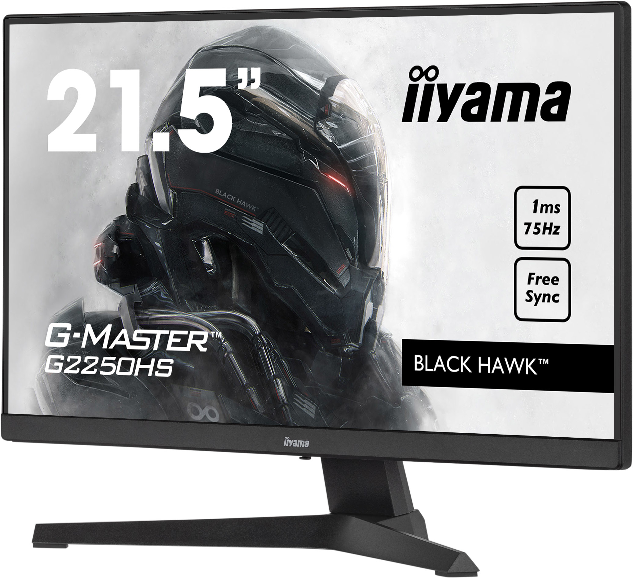 IIYAMA Monitor G2250HS-B1