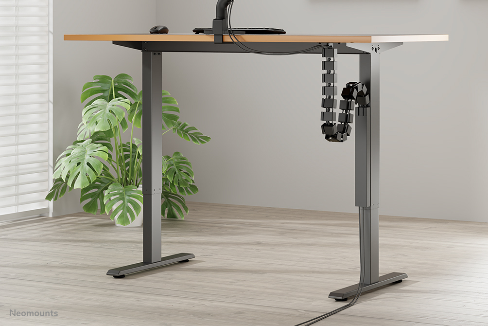 Schreibtisch, Mobiliar, Tabelle, Pflanze, Stehpult