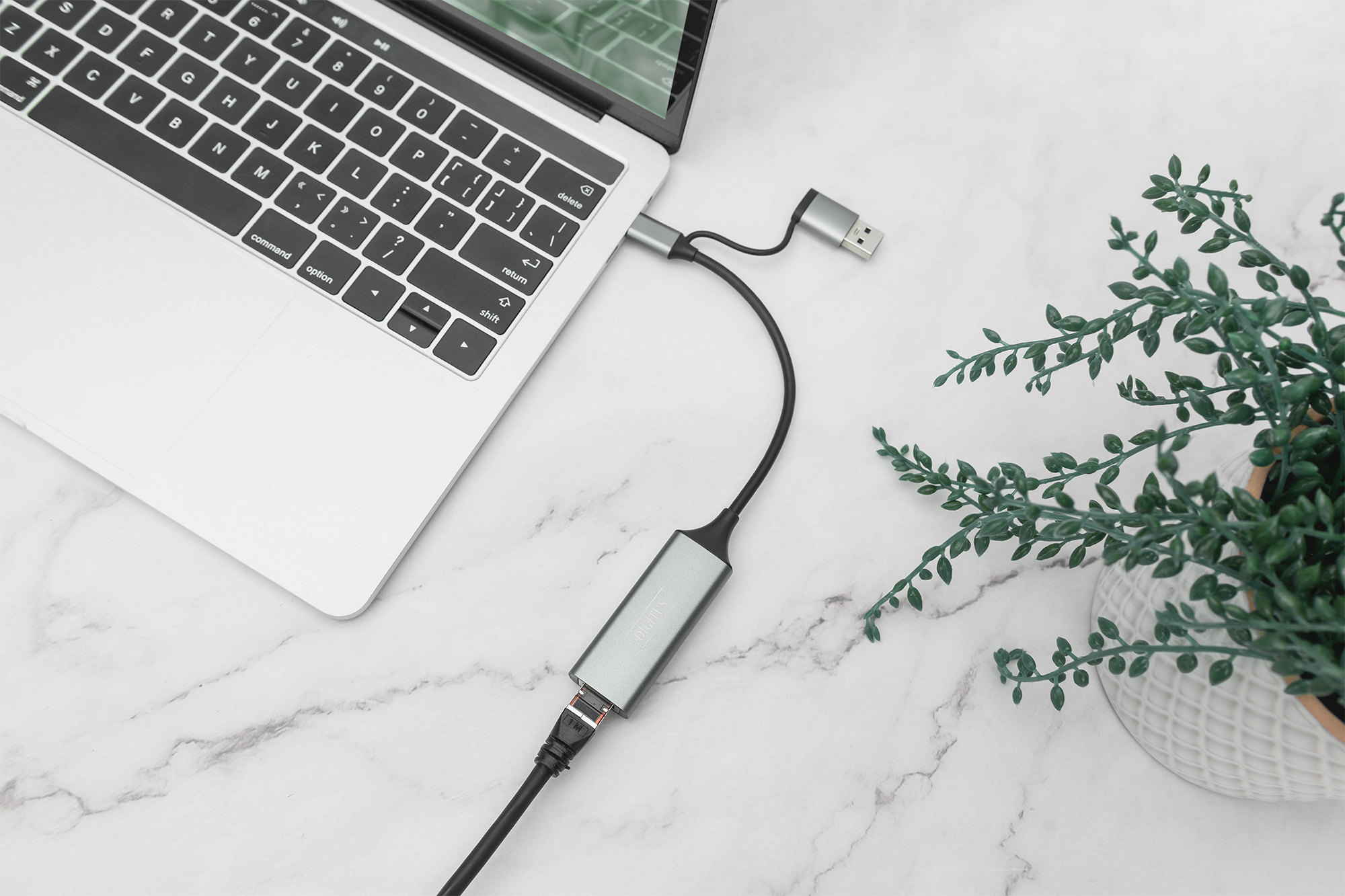 laptop, usb-c hub, externer dock, kabel, pflanze