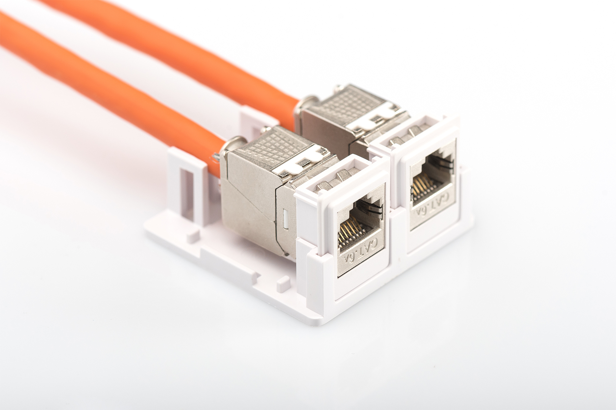 DIGITUS AT-AG 302A-WH Konsolidierungs-Punkt Gehäuse für 2x Keystone Module