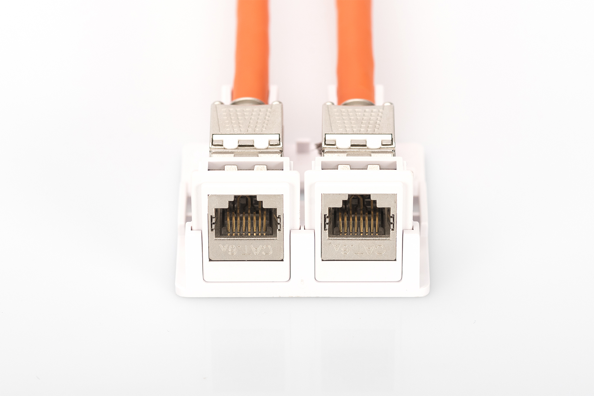 DIGITUS AT-AG 302A-WH Konsolidierungs-Punkt Gehäuse für 2x Keystone Module