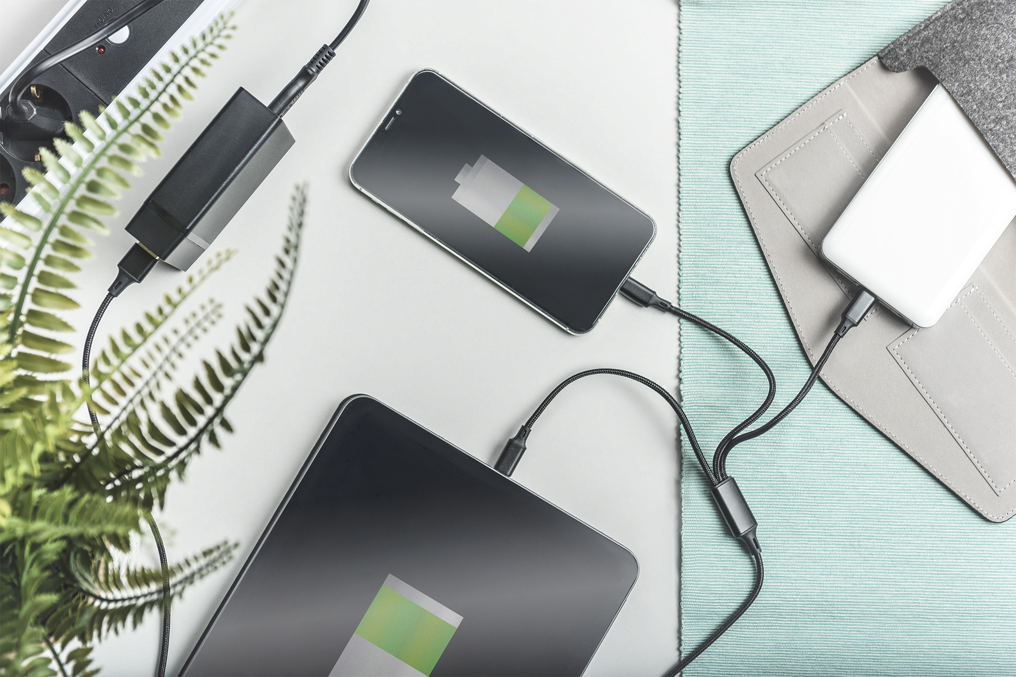smartphone, kabelloser ladegerät, powerbank, kabel, pflanze