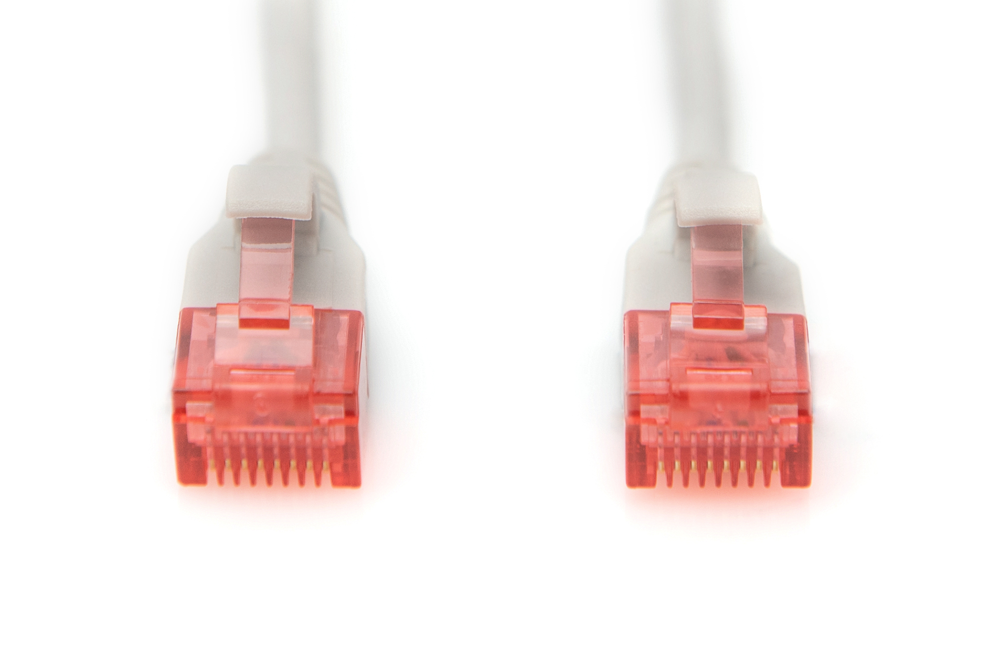 RJ-45-Anschluss,  Ethernet-Stecker,  Netzwerk-Steckverbinder,  Transparenter Pink,  Doppelte Anschlüsse