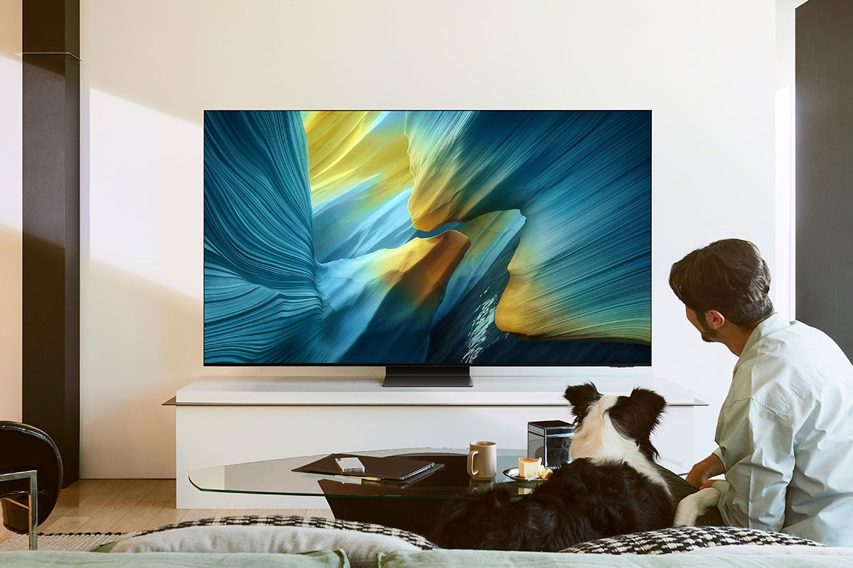 Samsung TV GQ65S95F  65" OLED-TV   (2025ér Modell) Computerausrüstung, Überwachen, Bildschirm, Innenarchitektur, Person