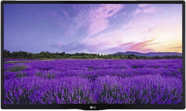 fernseher, LED, flachbildschirm, lavendelfeld, 1080p