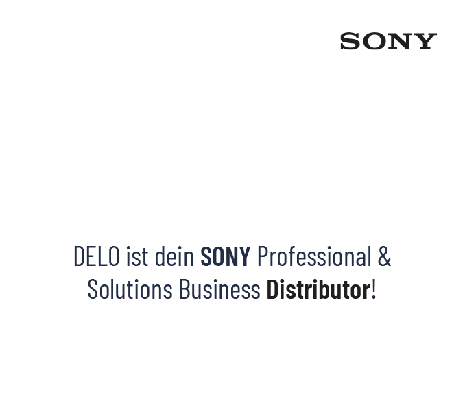 Seite, Text