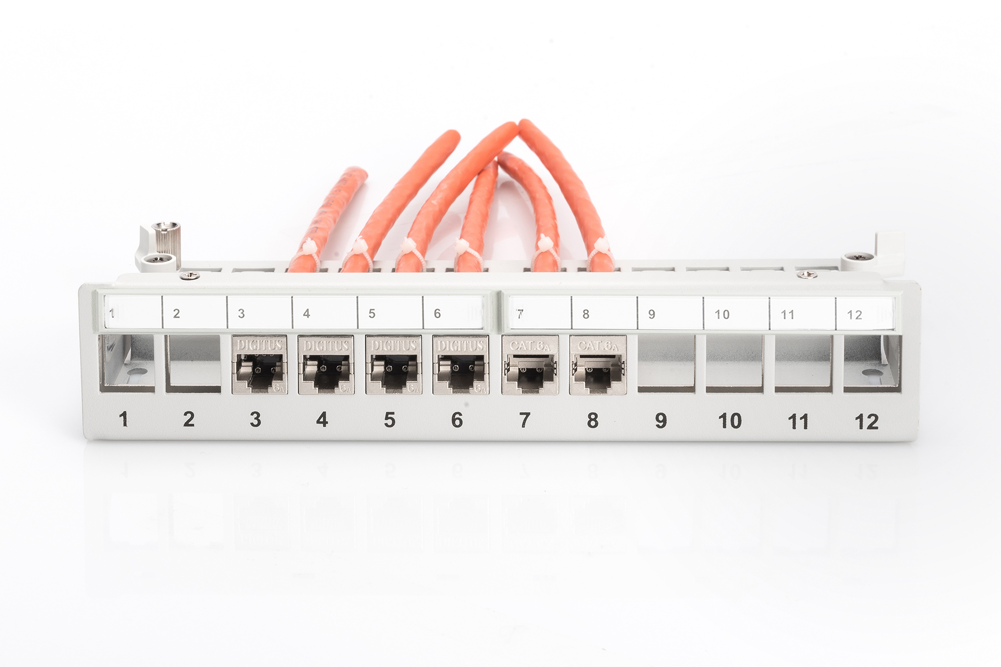 DIGITUS DN-93706 Modulares Desktop Patch Panel, geschirmt, 12-Port