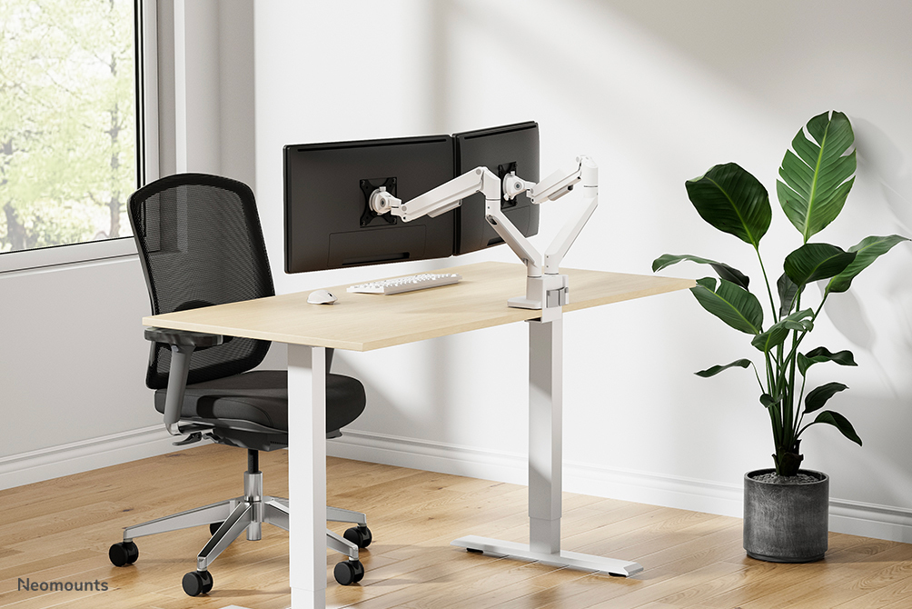 Homeoffice, Steh-Sitz-Schreibtisch, Dual-Monitor, ergonomischer Stuhl, Pflanze