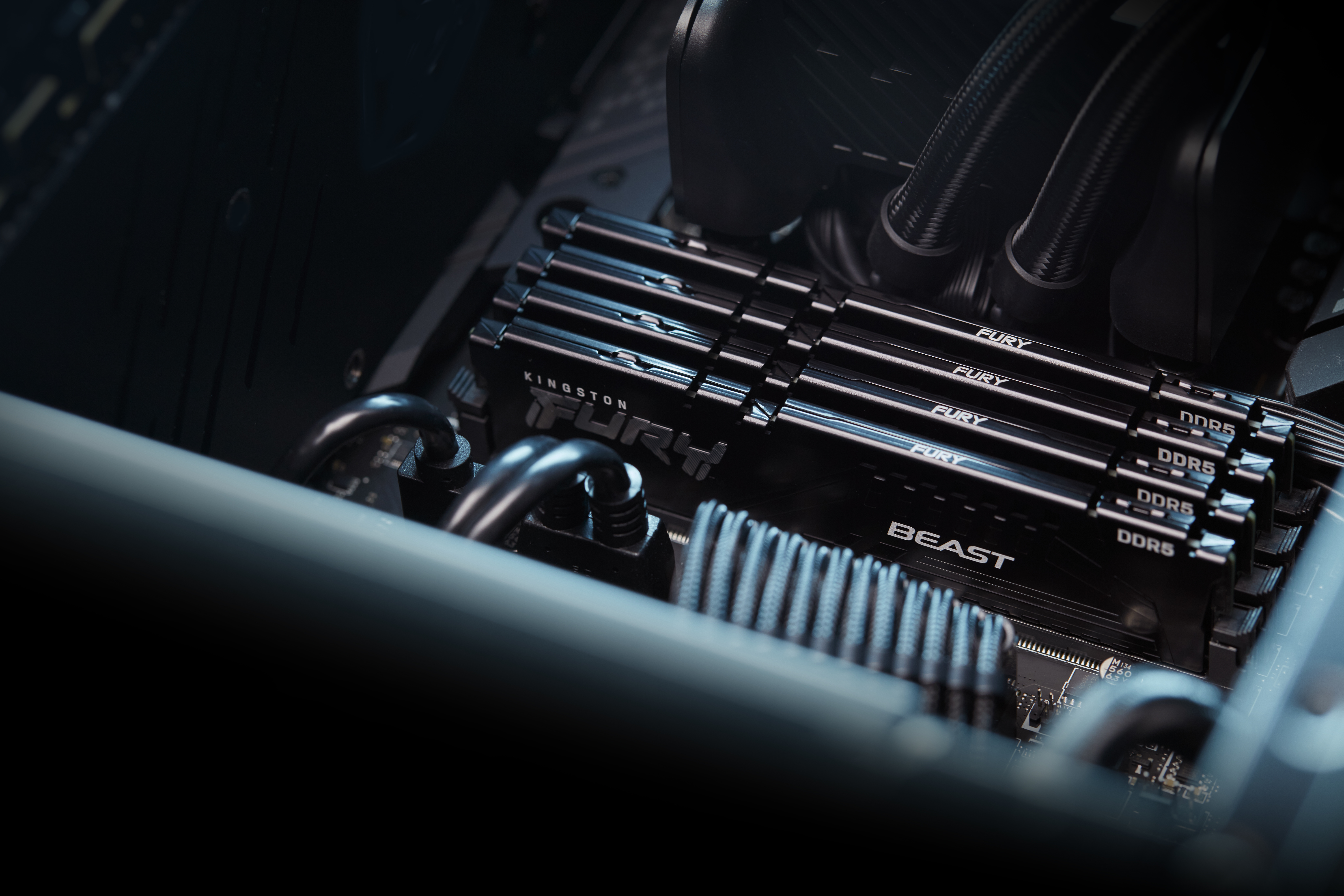 RAM Desktop DDR5 32GB 5600MHz Kingston FURY Beast (KF556C40BB-32) RAM Desktop DDR5 32GB 5600MHz Kingston FURY Beast (KF556C40BB-32)