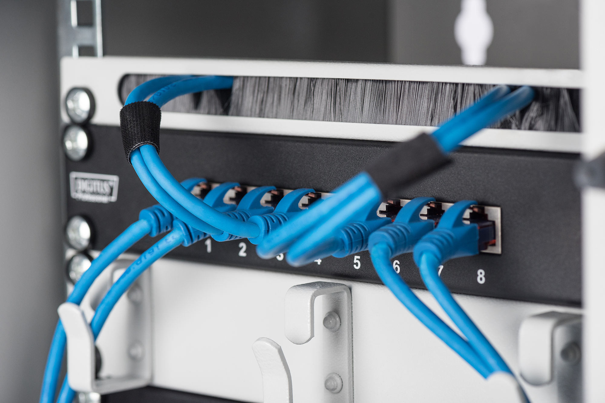 Netzwerk-Switch, Patchpanel, Ethernet-Kabel, blaues Kabel, Rack-Montage