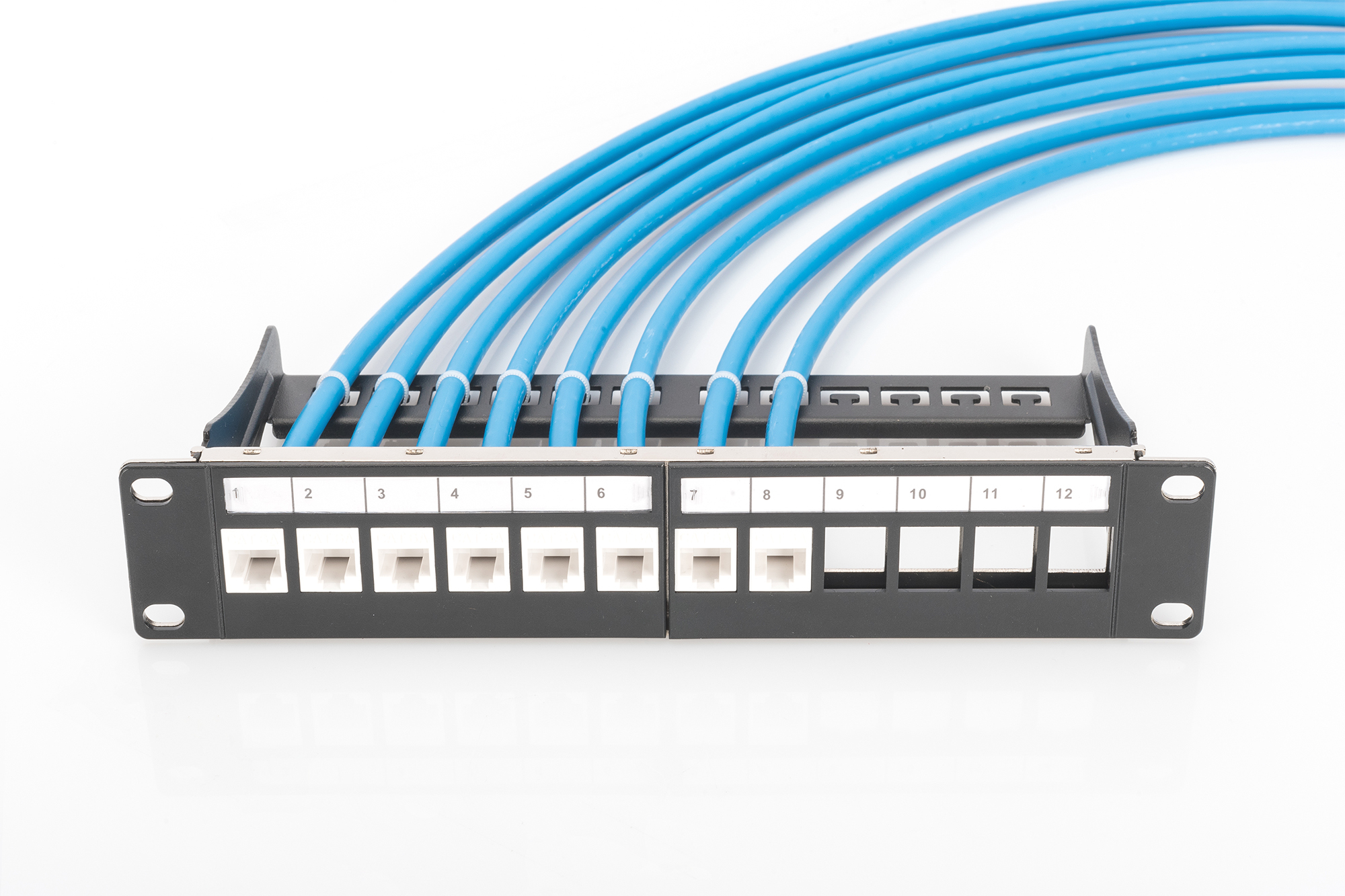 Patchpanel, Faser-Patch, Rackmontage, blaue Kabel, Netzwerkmodul