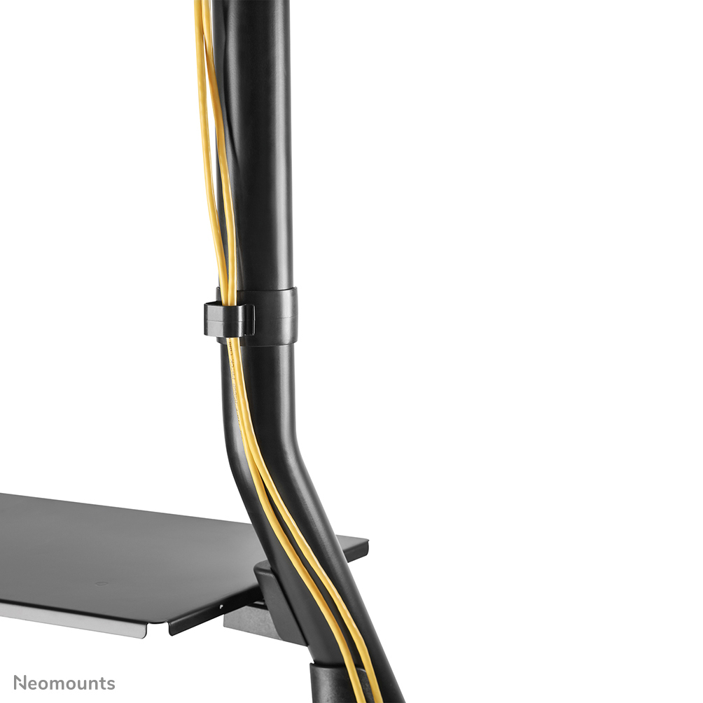 Neomounts Mobiler Flachbild Ständer - 100 kg - 152,4 cm (60") - 2,54 m (100") - 200 x 200 mm - 1000 x 600 mm - Schwarz