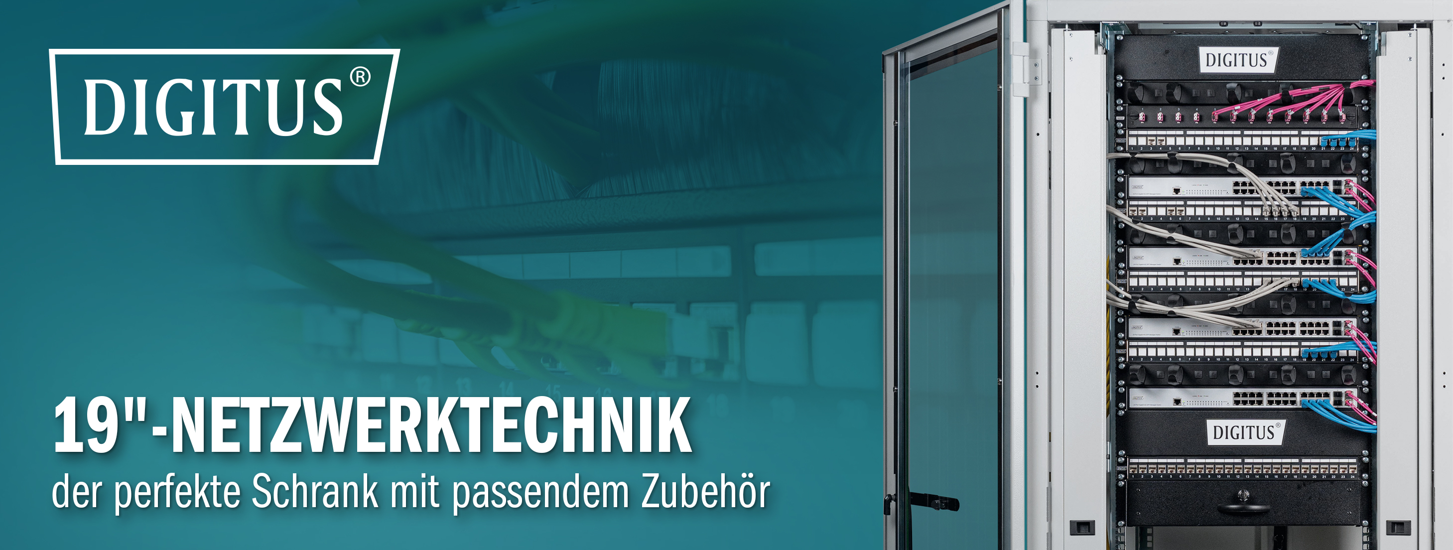 Delo_Startseitenbanner_DIGITUS-Netzwerkschranke_Oktober-2023