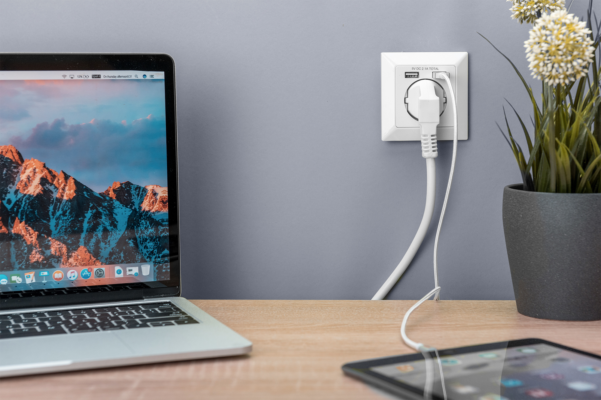 Laptop, USB-C-Ladegerät, Steckdose, Schreibtisch-Setup, Pflanzen Topf