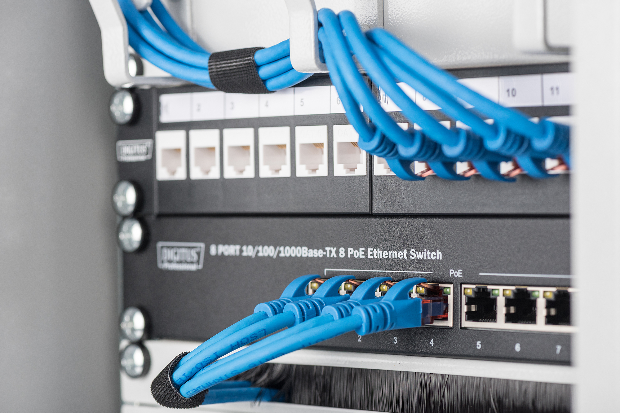 Schalter, Ethernet, PoE, Rack-montage, Blaue Kabel
