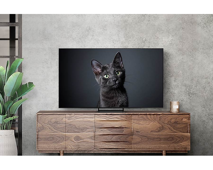 SAMSUNG TV GQ55S93C   55" OLED TV  (2023)