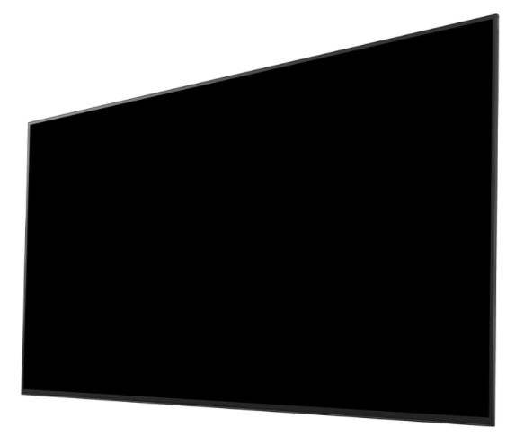 Sony Display 55'' 4K 24/7 Professional BRAVIA without Tuner FW-55BZ40H/1