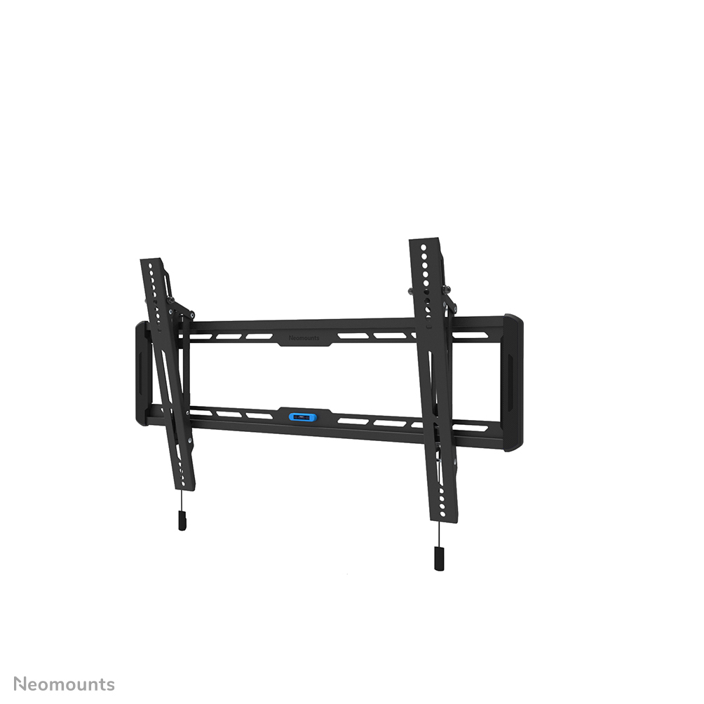 Neomounts TV-Wandhalterung - 101,6 cm (40 Zoll) - 190,5 cm (75 Zoll) - 100 x 100 mm - 600 x 400 mm - 0 - 12 Grad  - Schwarz