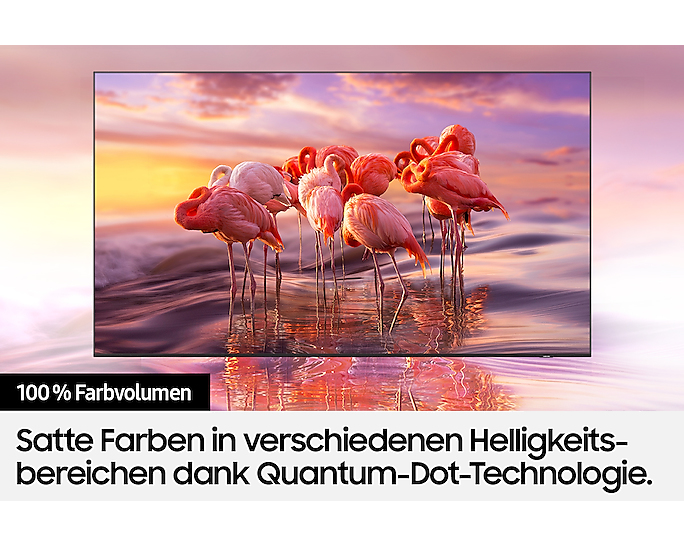 SAMSUNG TV GQ32Q50AE    (2023)*