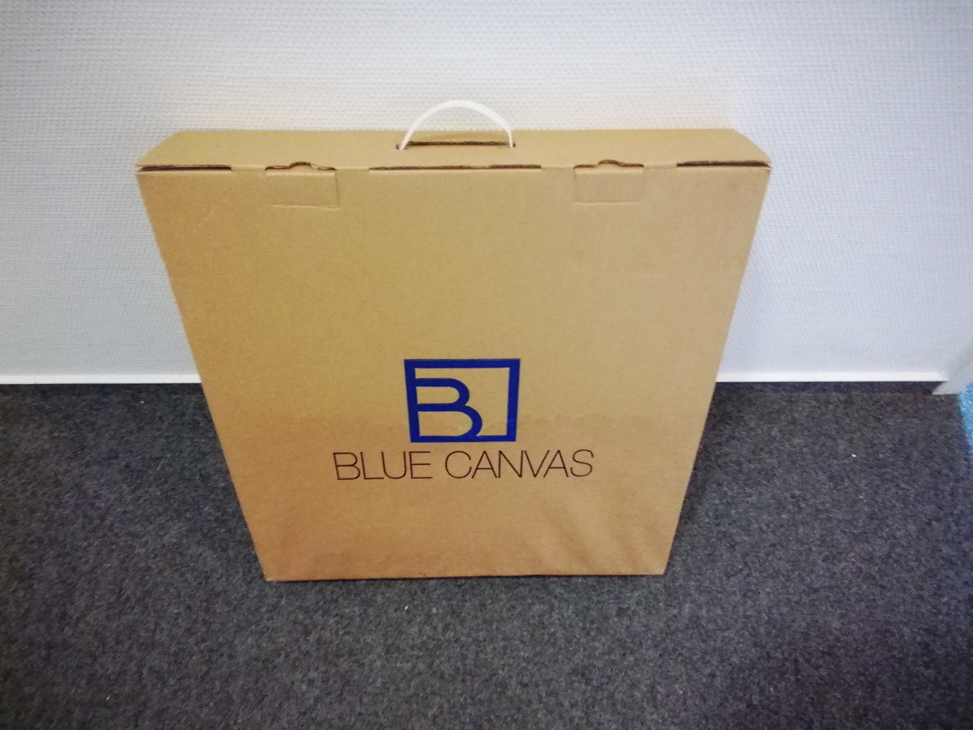 BlueCanvas 26,5" 1:1 Display